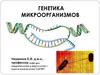 Генетика микроорганизмов