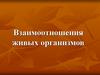 Взаимоотношения живых организмов. Живая и неживая природа