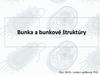 Bunka a bunkové štruktúry