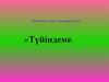 Мемлекеттік тілде іс қағаздарын жүргізу: «Түйіндеме»