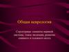 Общая неврология. Структурные элементы нервной системы, этапы эволюции, развитие спинного и головного мозга