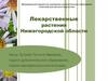 Лекарственные растения Нижегородской области