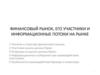 Финансовый рынок, его участники и информационные потоки на рынке