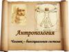 Антропология. Человек - биосоциальная система