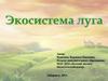 Экосистема луга