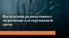 Последствия радиоактивного загрязнения для окружающей среды