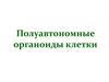 Полуавтономные органоиды клетки