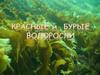Красные и Бурые водоросли