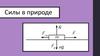 Силы в природе