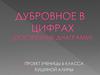 Дубровное в цифрах (построение диаграмм)