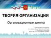 Теория организации. Организационные законы