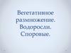 Вегетативное размножение. Водоросли. Споровые