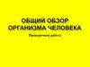 Общий обзор организма человека. Проверочная работа