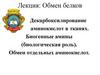 Обмен белков. Декарбоксилирование аминокислот в тканях