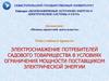 Электроснабжение потребителей садового товарищества в условиях ограничения мощности поставщиком электрической энергии