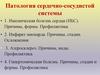 Патология сердечно-сосудистой системы