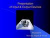 Input & Output Devices