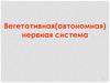 Вегетативная (автономная) нервная система