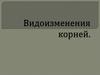 Видоизменения корней
