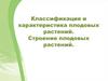Классификация и характеристика плодовых растений. Строение плодовых растений