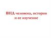 ВНД человека, история и ее изучение