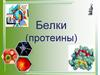 Белки (протеины)