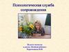 Психологическая служба сопровождения