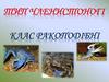 Тип Членистоногі. Клас Ракоподібні