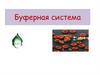 Буферная система
