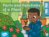 Parts and Functions of a Plant