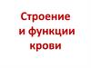 Строение и функции крови