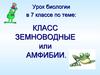 Класс земноводные или амфибии