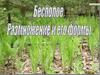 Размножение - основное свойство всего живого. Бесполое размножение и его способы