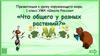 Что общего у разных растений? Окружающий мир. 1 класс