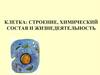 Клетка: строение, химический состав и жизнедеятельность