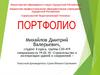 Михайлов Дмитрий Валерьевич. Портфолио