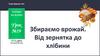 Збираємо врожай. Від зернятка до хлібини. Урок №19