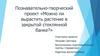 Познавательно-творческий проект «Можно ли вырастить растение в закрытой стеклянной банке?»