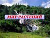Мир растений