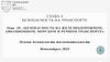 Безопасность на железнодорожном, авиационном, морском и речном транспорте
