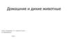 Домашние и дикие животные