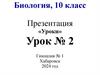 Биология в системе наук, 10 класс