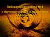 Изучение упругих и пластичных деформций. Лабораторная работа №