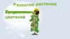 Развитие растений