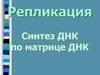 Репликация. Синтез ДНК по матрице ДНК