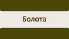 Болота. Можно ли считать болота гиблыми местами России?