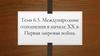 Международные отношения в начале XX в. Первая мировая война. Тема 6.5