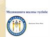 Медиацияга жалпы тусiнiк