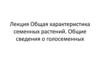 Общая характеристика семенных растений. Общие сведения о голосеменных