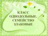 Класс Однодольные. Семейство Злаковые